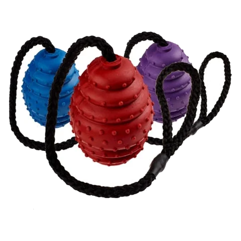 Pelota ovalada de caucho con cuerda Classic para perros