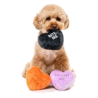 Peluche de Halloween para perros FuzzYard Candy Hearts, 3 uds