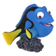 Pez Cirujano