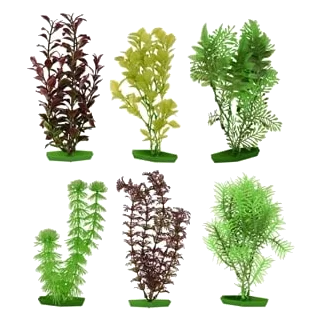 Planta acuario surtido mediano 20 cm