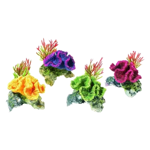 Plantas / coral para acuario