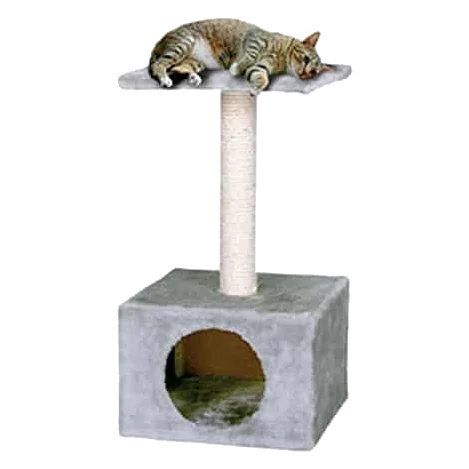 Poste rascador Gris para gatos