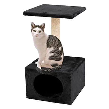 Poste rascador Negro para gatos