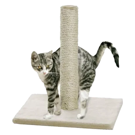 Rascador Lisa Beige para gatos