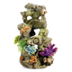 Rocas y plantas para acuario
