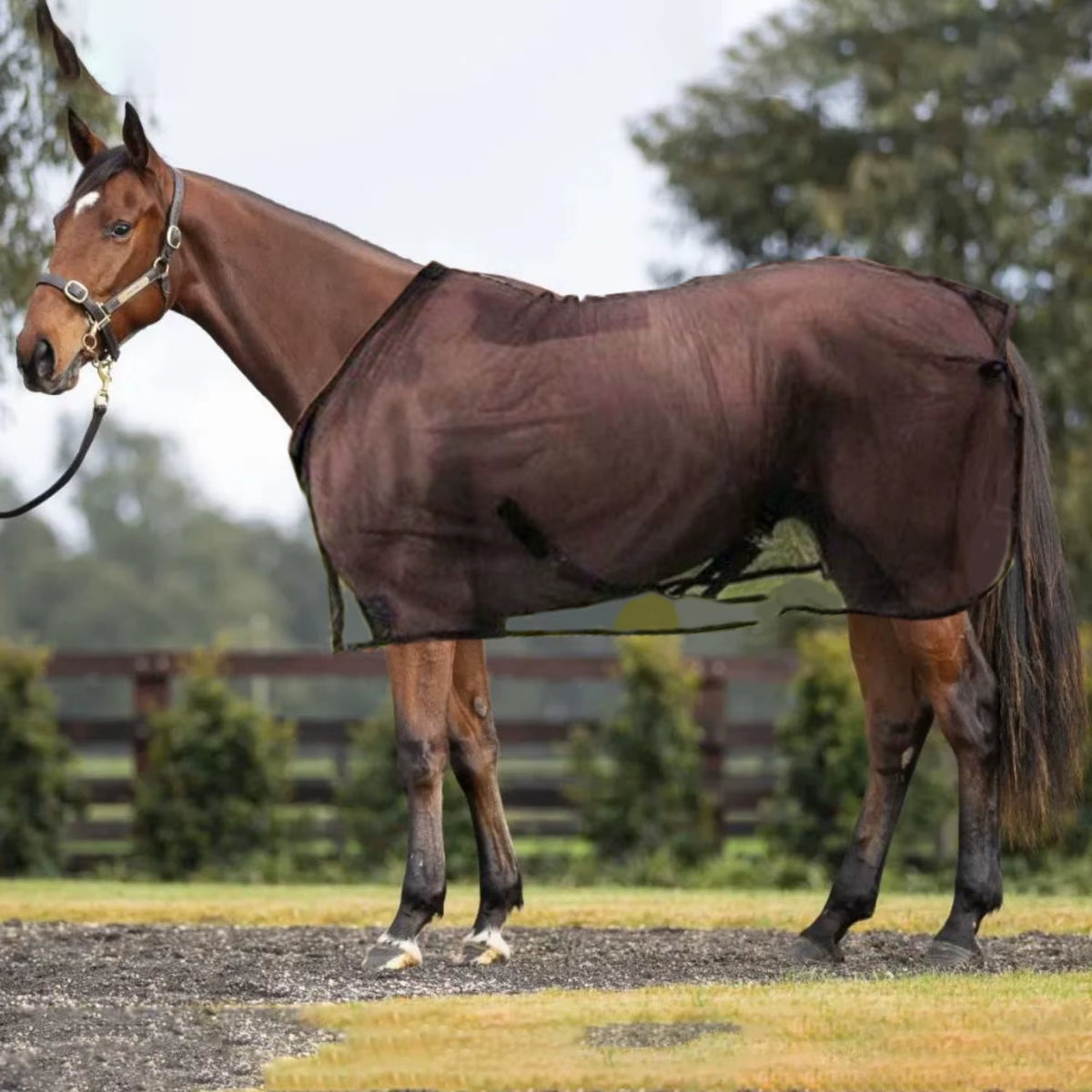 Sábana antimoscas de malla reforzada para caballo con protección UV - vista 3