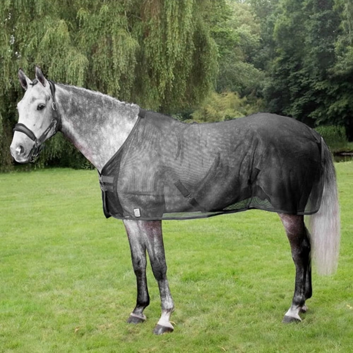 Sábana antimoscas de malla reforzada para caballo con protección UV - vista 4