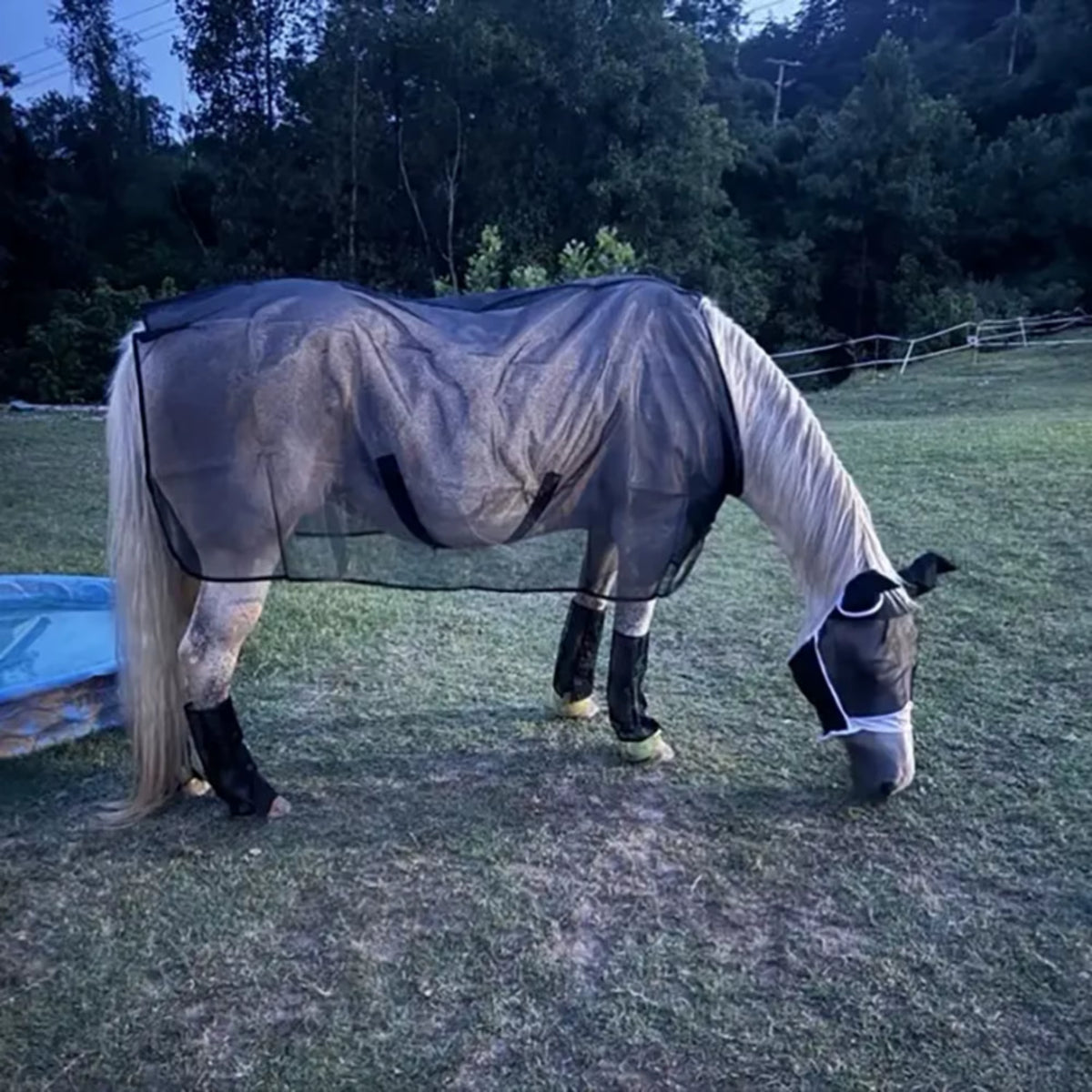 Sábana antimoscas de malla reforzada para caballo con protección UV - vista 6