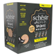 Schesir After Dark variety pack linea velvet mousse para gatos
