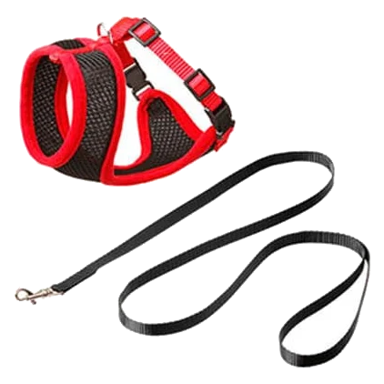 Set arnés gatito negro/rojo 110cm 10mm T.S