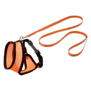 Set arnés gato naranja/negro 110cm 10mm T.M