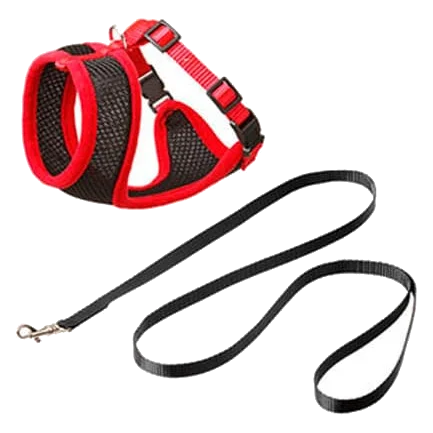 Set arnés gato negro/rojo 120cm 15mm T.L
