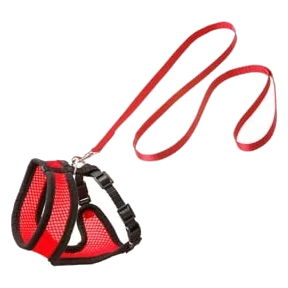 Set arnés gato rojo/negro 110cm 10mm T.M
