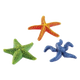 Surtido de estrellas de mar para acuario