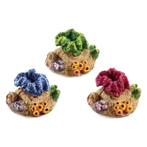 Surtido de mini coral 3u para acuario