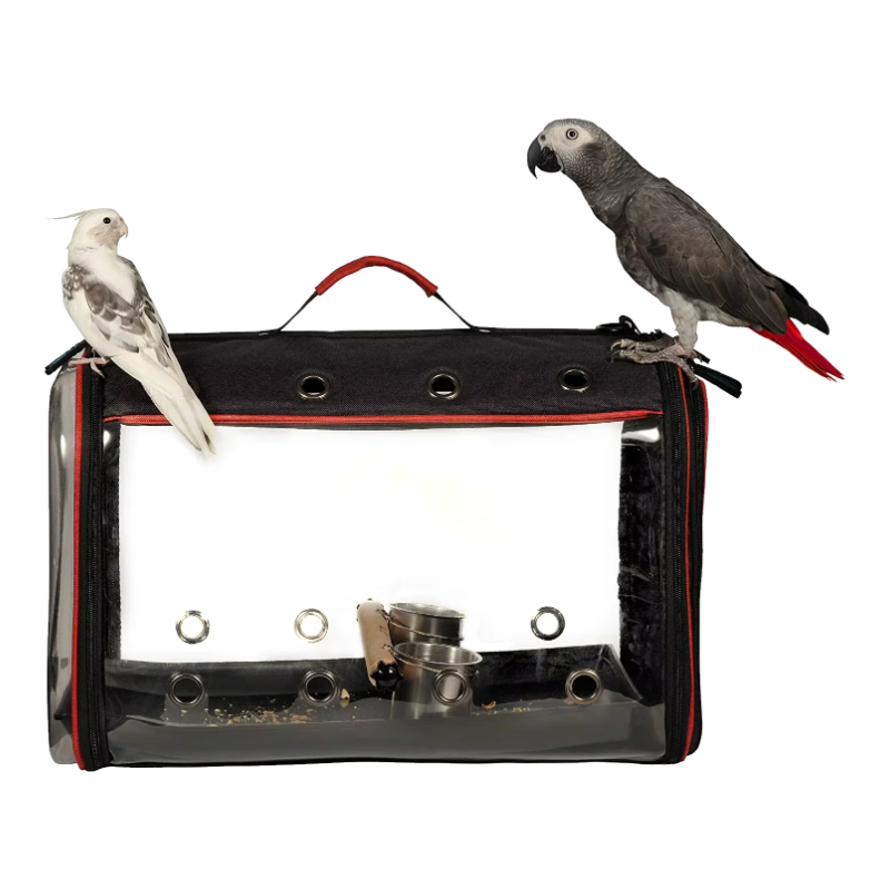 Transportín para aves y loros plegable con ventana transparente y dos loros
