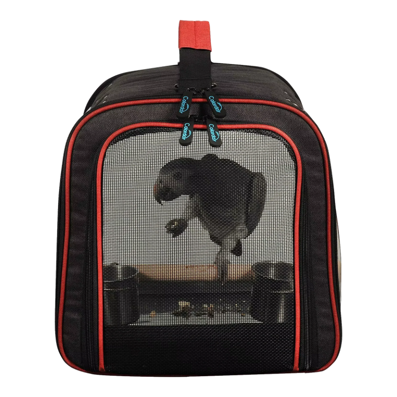 Transportín para loros con malla transpirable, vista lateral