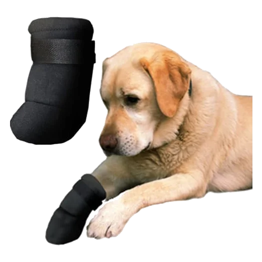 Zapato de neopreno para perros